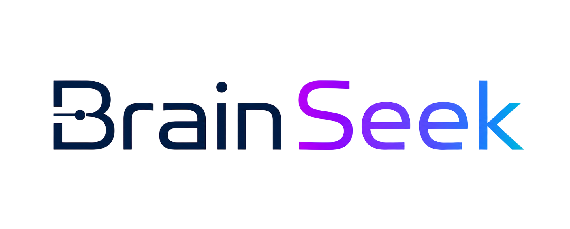 BrainSeek Lab